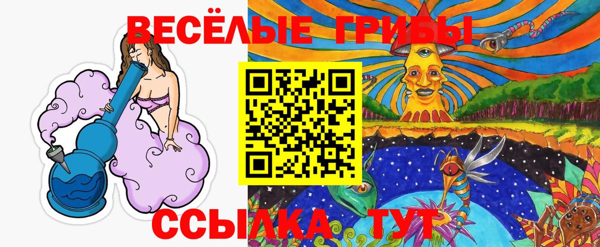Галлюциногенные грибы мухоморы  купить закладку  Галлюциногенные грибы Psilocybe  Тулун  Вход с VPN 